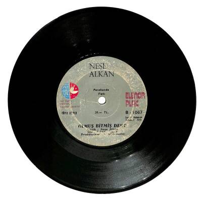 Neşe Alkan - Göz Göre Göre Olmuş Bitmiş Deme (108) PLK15911 - 2