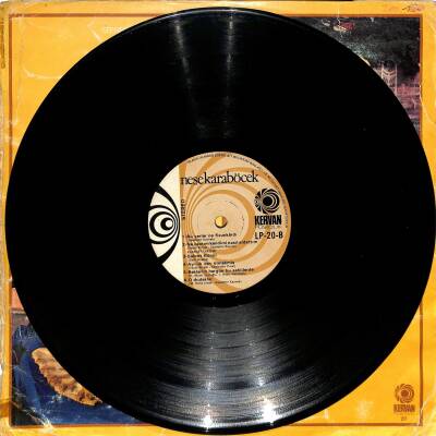 Neşe Karaböcek (1977) – Dünden Bugüne LP (107.5) PLK20429 - 3