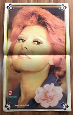 Neşe Karaböcek Büyük Boy Poster EFM(N)7454 - 1