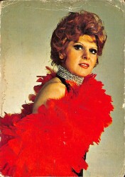 Neşe Karaböcek Kartpostal (Küçük Boy) KRT23795 - Gökçekoleksiyon