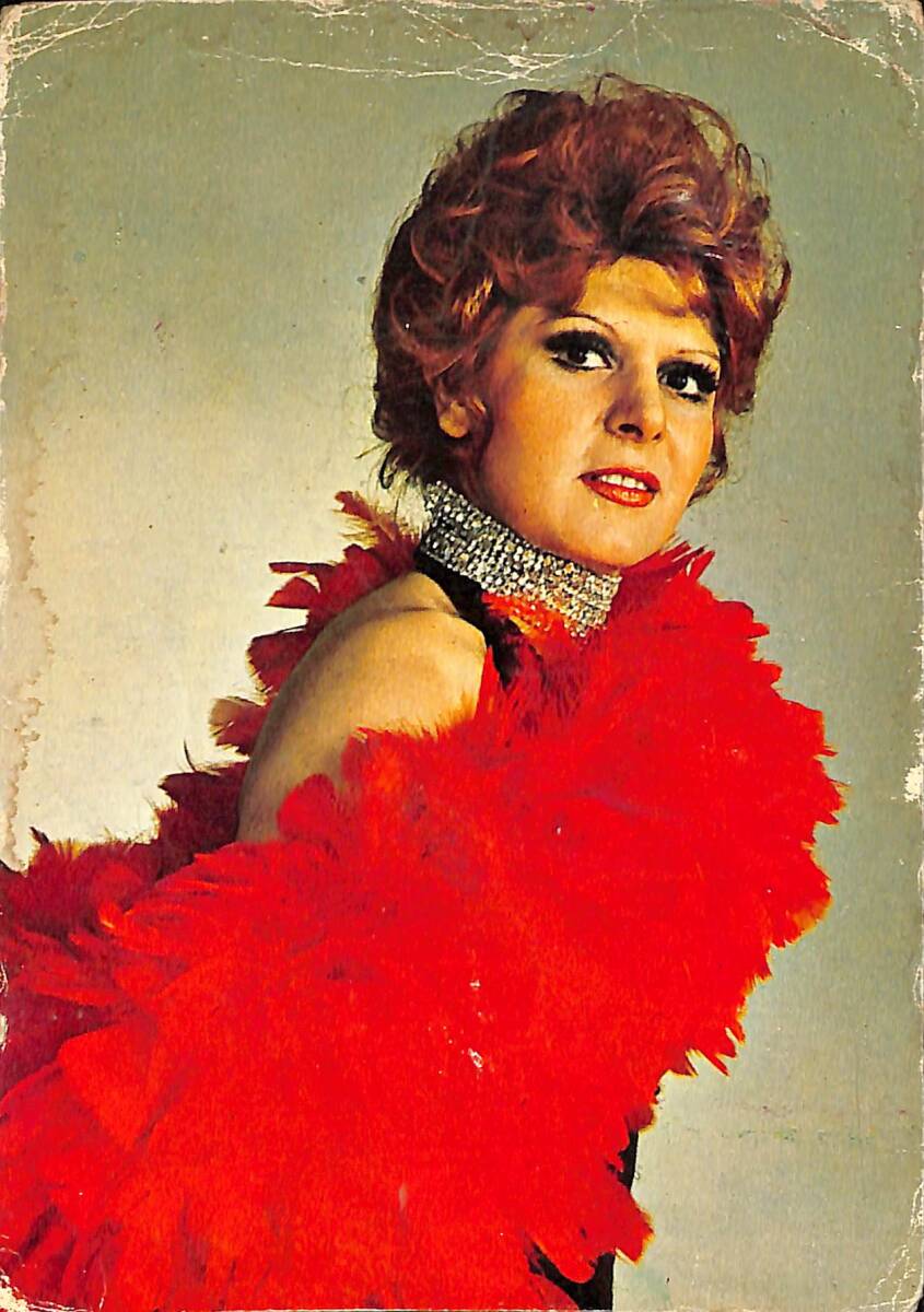 Neşe Karaböcek Kartpostal (Küçük Boy) KRT23795 - 1