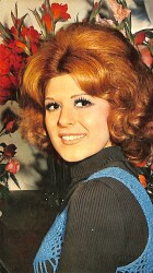 Neşe Karaböcek Kartpostal (Küçük Boy) KRT23799 - Gökçekoleksiyon