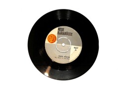 Neşe Karaböcek – Koca Dünya / Atsan Atılmaz Satsan Satılmaz 45’lik Plak (10/7.5) PLK27007 - 1