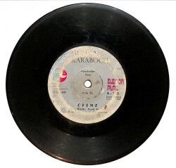 Gülden Karaböcek - Ne Bilirdimki / Çeşme Plak (10/5) PLK25082 - Gökçekoleksiyon