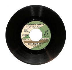 Semiramis Pekkan - Bu Ne Biçim Hayat / İçelim Kendimizden Geçelim PLAK (10/7) PLK23891 - Gökçekoleksiyon