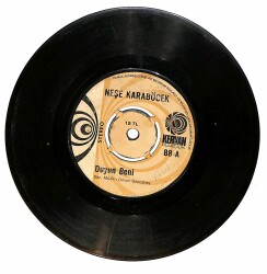 Neşe Karaböcek - Duyun Beni / Ne Umdun Ne Buldum Plak (10/6.5) PLK25217 - Gökçekoleksiyon