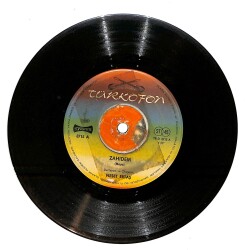Neşet Ertaş - Kar Yağar Kar Üstüne / Zahidem Plak (10/7) *Nadir* PLK26121 - 2