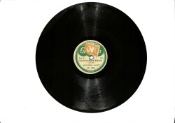 Muzaffer Akgün - Elmayı Top Top Yapalım & Kışlalar Doldu Boşaldı TAŞ PLAK (10/7) PLK26219 - Gökçekoleksiyon