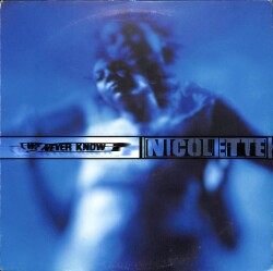 Nicolette – We Never Know UK 1996 Abstract, Trip Hop LP (109) PLK17806 - 1