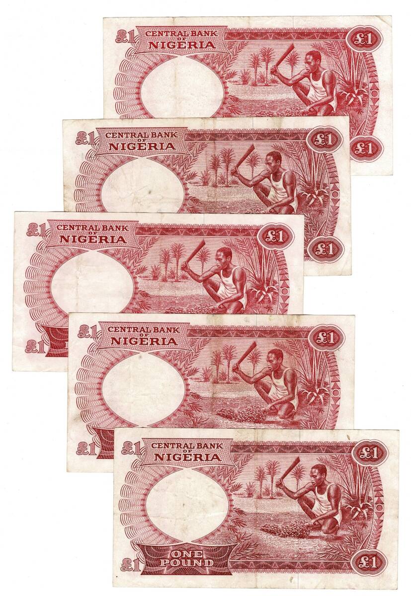 Nijerya 1967 Yılı 1 Pound (5 Adet) ÇT/ÇT+ YKP8786 - 2