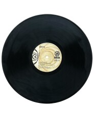 Biricik - Gurbet Kuşları LP Plak (10/8) PLK25459 - Gökçekoleksiyon