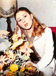 Nilüfer Kartpostal KRT19399 - Gökçekoleksiyon