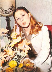 Nilüfer Kartpostal (Küçük Boy) KRT23123 - Gökçekoleksiyon