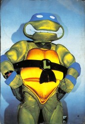 Ninja Kaplumbağalar Leonardo Kartpostal (Büyük Boy) KRT22386 - Gökçekoleksiyon