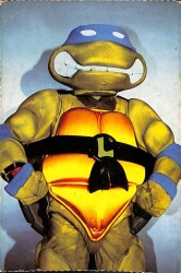 Ninja Kaplumbağalar (Leonardo) Kartpostal KRT4848 - Gökçekoleksiyon