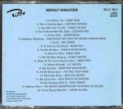Nothing But the Blues CD (İkinci El) CD5000 - 2