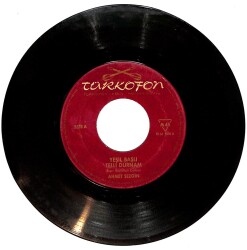 Ahmet Sezgin - Yeşil Başlı Telli Turnam / Ayvacı Geliyor Ayvacı Plak (10/6.5) PLK26143 - Gökçekoleksiyon