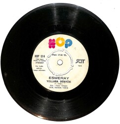Esmeray - Yollara Düştüm / Gel Tezkere Gel Plak (10/6.5) PLK25398 - Gökçekoleksiyon