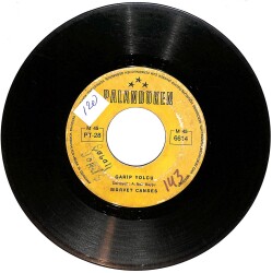 Mürvet Canses - Seher Yeli / Garip Yolcu Plak (10/5.5) PLK24927 - Gökçekoleksiyon