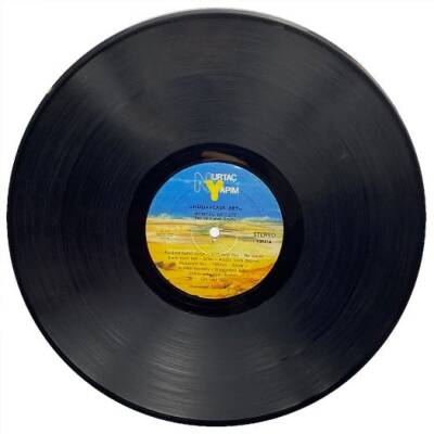 Nurtaç Düzgit - Hüdaverdi Bey 1984 LP Plak (108) PLK12002 - 1