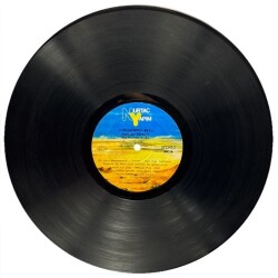 Nurtaç Düzgit - Hüdaverdi Bey 1984 LP Plak (108) PLK12002 - 2