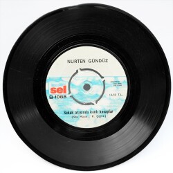 Nurten GündüzHüsamettin Ceylan - Çeşmeye Vardım Kızım (109) PLK6836 - 2