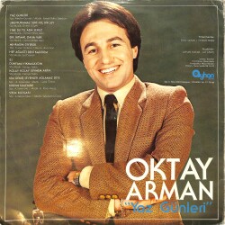 Oktay Arman - Yaz Günleri LP PLAK (10/7.5) PLK26540 - 2
