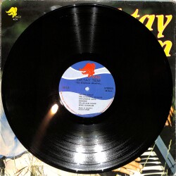 Oktay Tem - Sen Büyüksün Allah'ım LP PLAK (10/8) PLK26516 - 3
