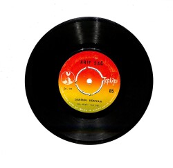 Arif Sağ - Garibin Dünyası / Gel (Allah Aşkına) PLAK (10/7.5) PLK23854 - Gökçekoleksiyon