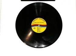 Orhan Akdeniz - Zorla Sev Diyemem LP PLAK (10/7) PLK26485 - 3