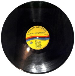 Orhan Akdeniz - Zorla Sev Diyemem LP PLAK (Açıklamayı Okuyunuz) PLK26632 - 2