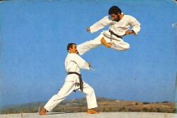 Orhan Doğan Karate Kartpostal KRT10374 - Gökçekoleksiyon