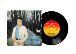 Orhan Gencebay - Vicdan Azabı / Ümitsiz Aşk PLAK (10/7) PLK24672 - Gökçekoleksiyon