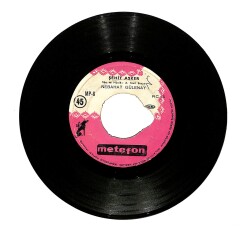 Nebahat Gülenay - Seni Çok Seviyorum / Şehit Asker PLAK (10/7.5) PLK24679 - Gökçekoleksiyon