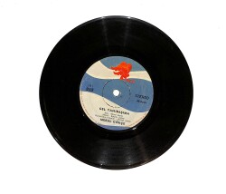 Meral Gökçe - Seven Benim / Gel Yanıbaşıma PLAK (10/7.5) PLK24522 - Gökçekoleksiyon