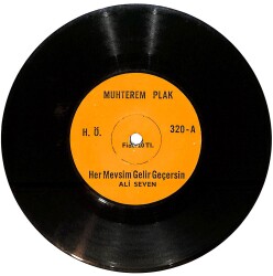 Ali Seven - Her Mevsim Gelir Geçersin / Kader Böyle İmiş Plak (10/6.5) PLK26164 - Gökçekoleksiyon