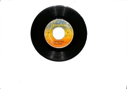 Zeki Müren - Fakir Bir Şairim / Gözlerimden Yüzün Kulaklarımdan Sesin Silinmedi PLAK (10/5.5) PLK25640 - Gökçekoleksiyon