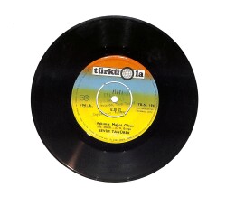 Sevim Tanürek - Rüzgar Gibi mi Geçti / Aşkımız Mabet Olsun PLAK (10/7.5) PLK24563 - Gökçekoleksiyon