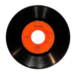 Ayşe Pekcan - Güzel Oğlan Yaramaz Kız / Kalmadı Dostlar (10/7) PLK24277 - Gökçekoleksiyon