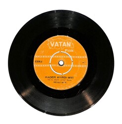 Sevgi Sun - Kader Ayırdı Bizi / Beni Neden Üzüyorsun Plak (10/6) PLK24306 - Gökçekoleksiyon