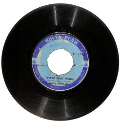 Özay Gönlüm - Torun'un Nineye Mektubu / Dudu Kız Plak (10/6) PLK25161 - Gökçekoleksiyon
