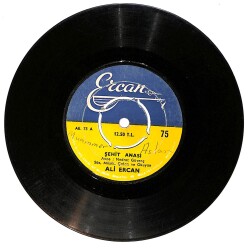 Ali Ercan - Şehit Anası / Şehit Babası PLAK (10/7) PLK24748 - Gökçekoleksiyon