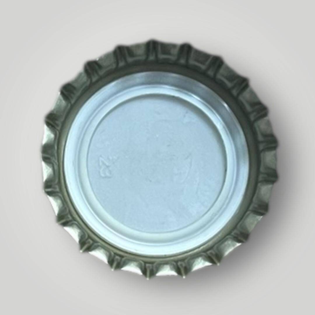 ÖZKAYNAK Doğal Maden Suyu Bursa Basılmamış Gazoz Kapağı CMK2-1246 - 2