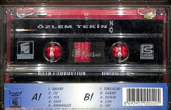 Özlem Tekin - Bahar Kaset (İkinci El) KST29094 - 2