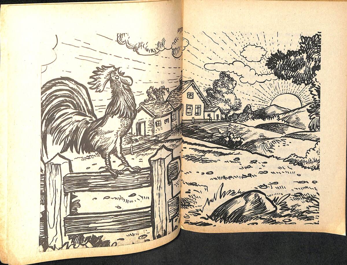 Özyürek Hayvan Öyküleri Dizisi - Akıllı Karakaçan NDR100115 - 2