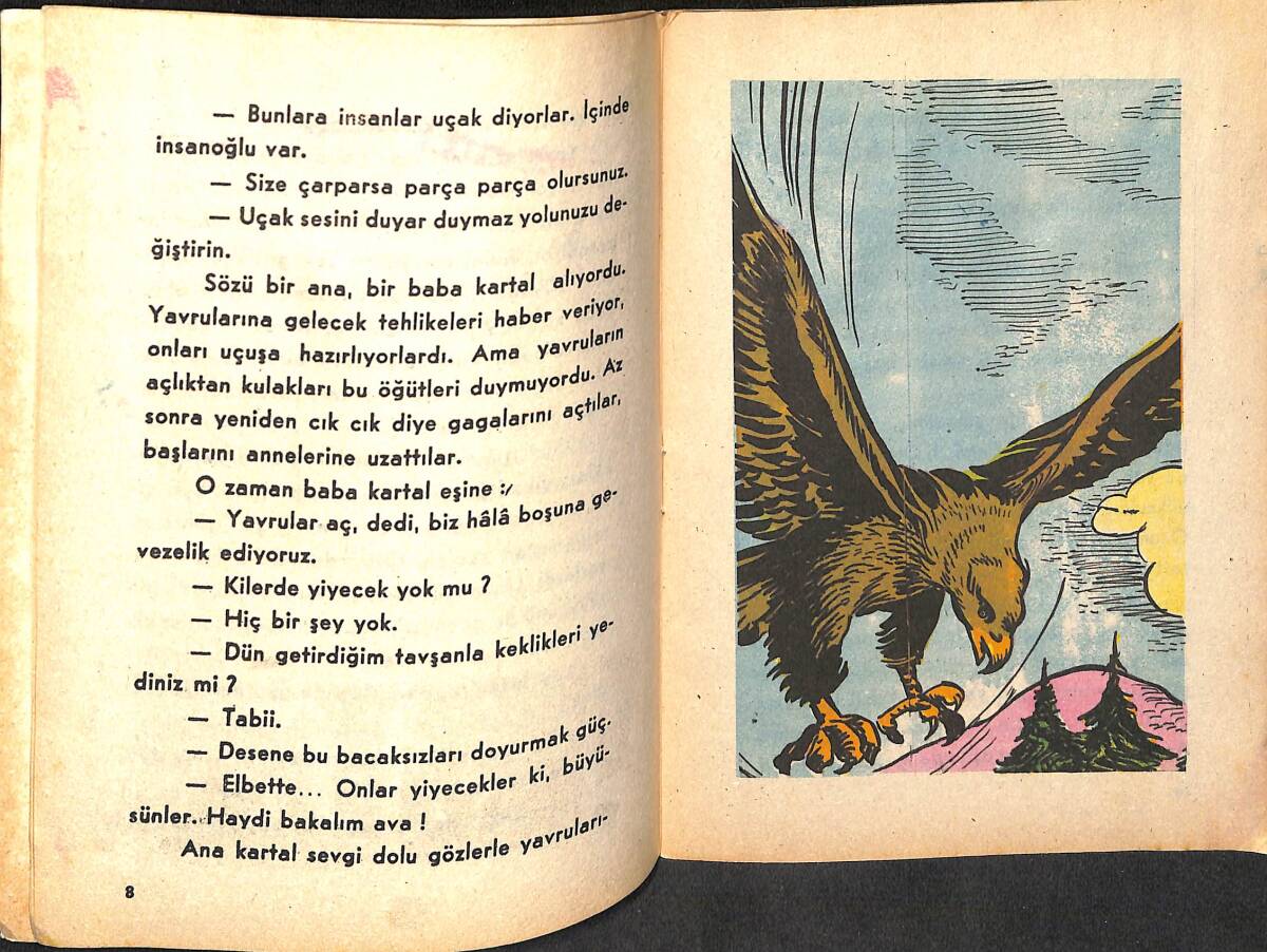 Özyürek Hayvan Öyküleri Dizisi - Göklerin Kralı NDR100113 - 2