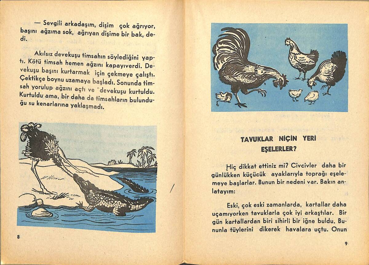 Özyürek Öykü Dizisi - Aslan Niçin Kükrer ? NDR100134 - 2