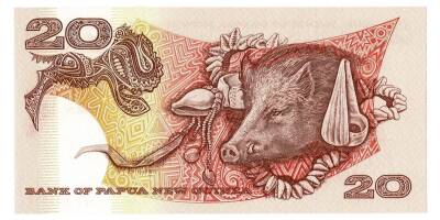Papua Yeni Gine 20 Kina 1981 Çil YKP5414 - 2