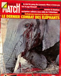 Paris Match No 1364 19 Juillet 1975 - Le Dernier Combat Des Elephants NDR82911 - Gökçekoleksiyon