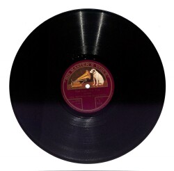 Paul Whiteman And His Orchestra - Foot Loose Sonya TAŞ PLAK (107.5) PLK22825 - 1